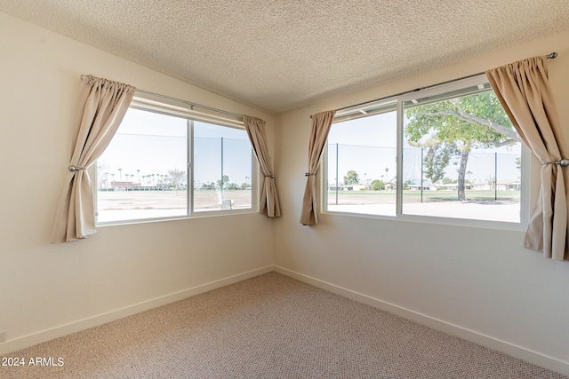 spare room featuring a textured ceiling and carpet flooring