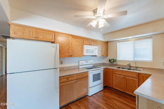 kitchen featuring white appliances, ceiling fan, sink, and dark hardwood / wood-style flooring