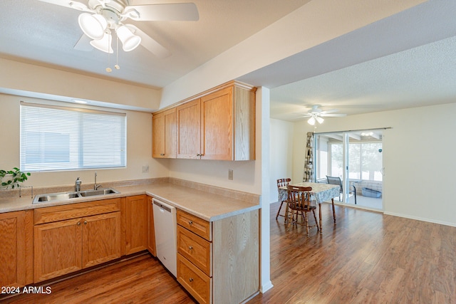 kitchen with white dishwasher, sink, hardwood / wood-style flooring, and a healthy amount of sunlight