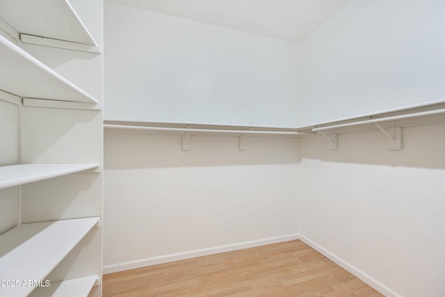 walk in closet featuring wood finished floors