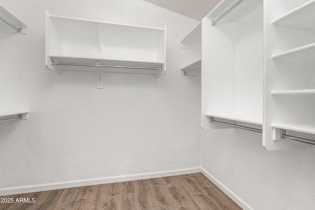 1015 E Penny Ln, San Tan Valley, AZ 85140 - walk in closet featuring wood finished floors