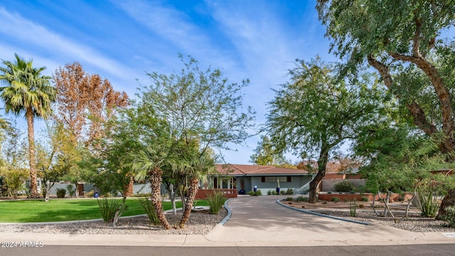 single story home featuring a front yard