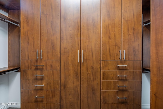 view of spacious closet