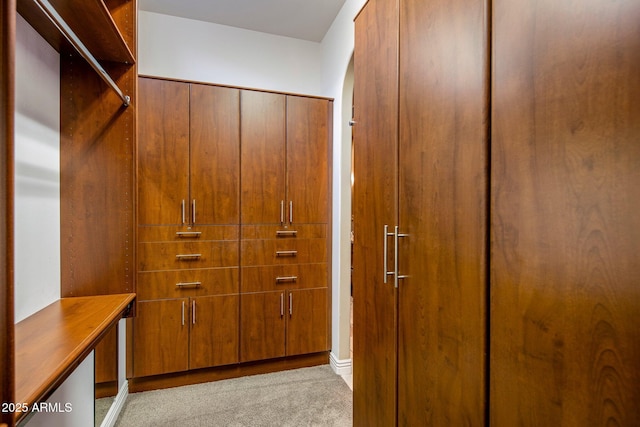 spacious closet with light carpet