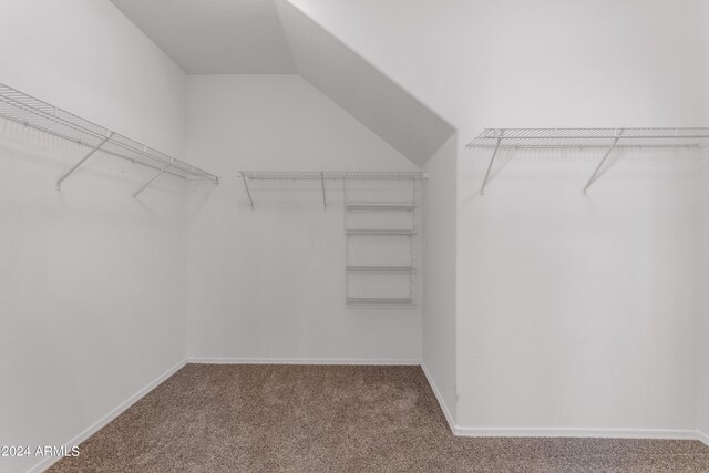 empty room featuring carpet and ceiling fan