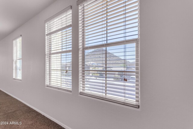 unfurnished room featuring carpet floors and ceiling fan