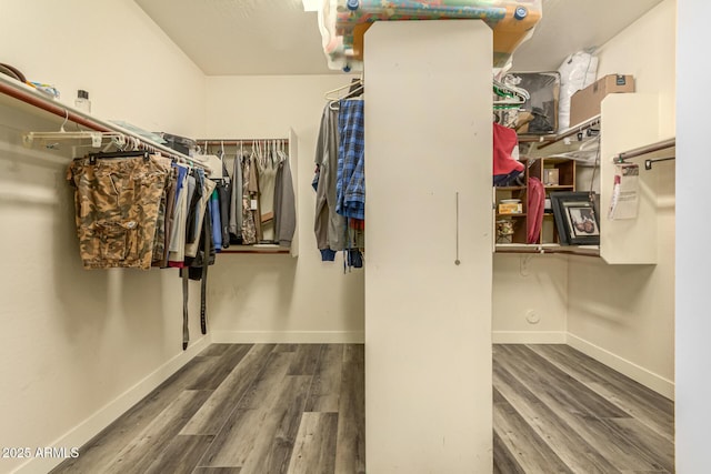 13609 W Vermont Ave, Litchfield Park, AZ 85340 - walk in closet with wood finished floors