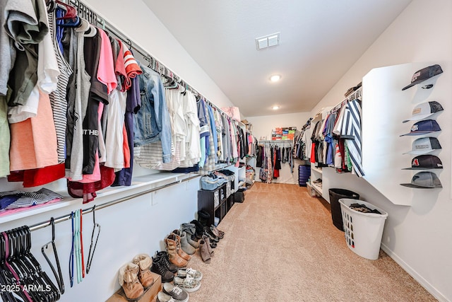 25051 N 140th Dr, Surprise, AZ 85387 - spacious closet featuring light carpet and lofted ceiling