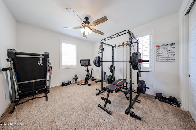 25051 N 140th Dr, Surprise, AZ 85387 - workout room featuring ceiling fan, carpet flooring, healthy amount of natural light, and baseboards