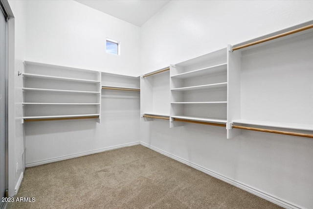 walk in closet featuring carpet floors