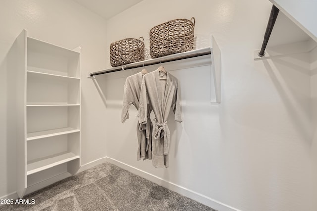 spacious closet with carpet floors