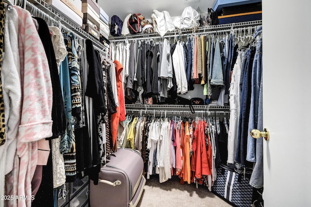 23862 W Chambers St, Buckeye, AZ 85326 - walk in closet with carpet
