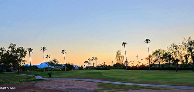 view of property's community with a yard