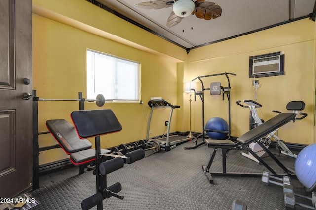 exercise area with ceiling fan and crown molding