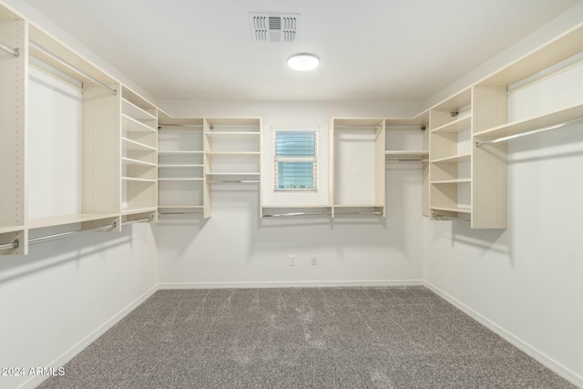 spacious closet with carpet floors