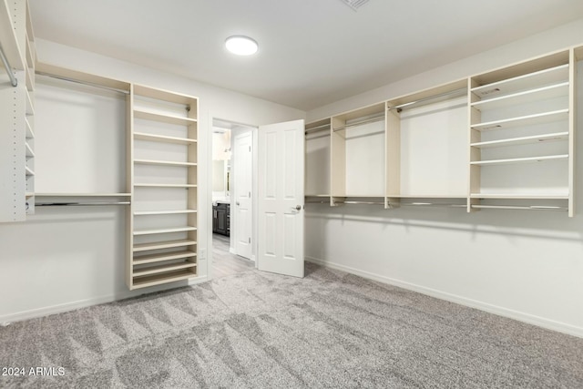 walk in closet featuring carpet flooring