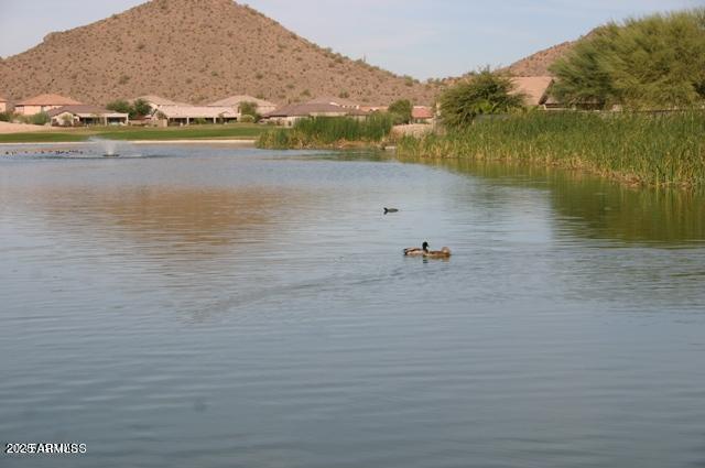 29101 N Yellow Bee Dr, San Tan Valley, AZ 85143 - water view with a mountain view