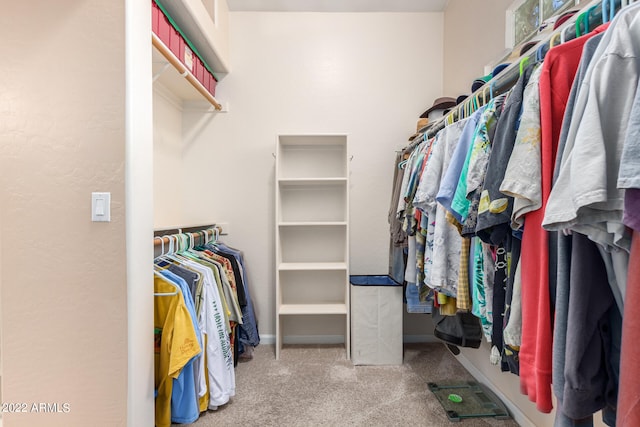 spacious closet with carpet floors