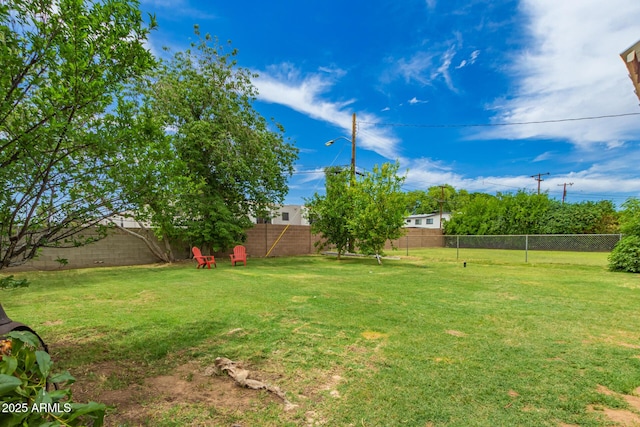 5612 N 9th St, Phoenix, AZ 85014 - view of yard