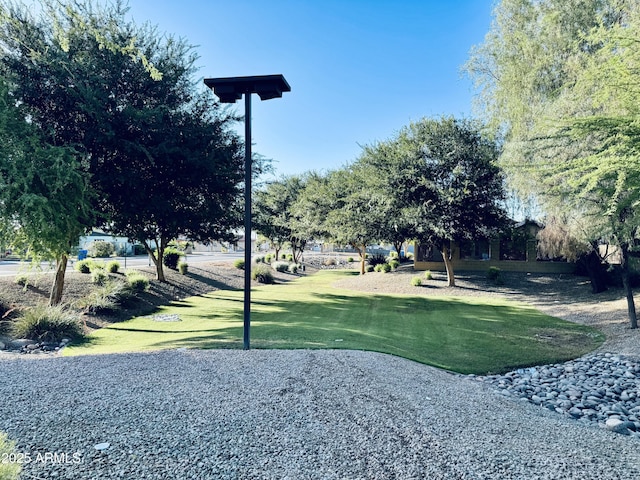1630 W Pecan Rd, Phoenix, AZ 85041 - view of property's community with a yard
