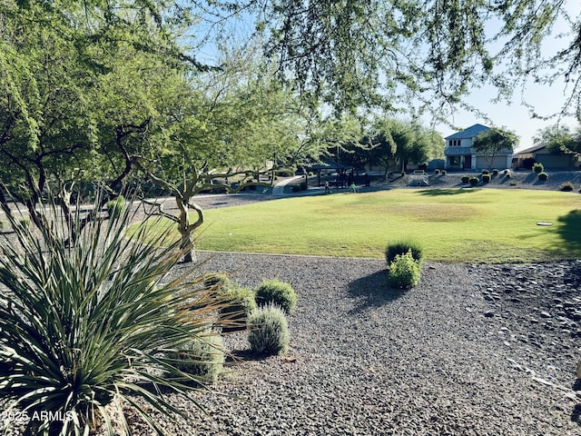 1630 W Pecan Rd, Phoenix, AZ 85041 - view of grassy yard