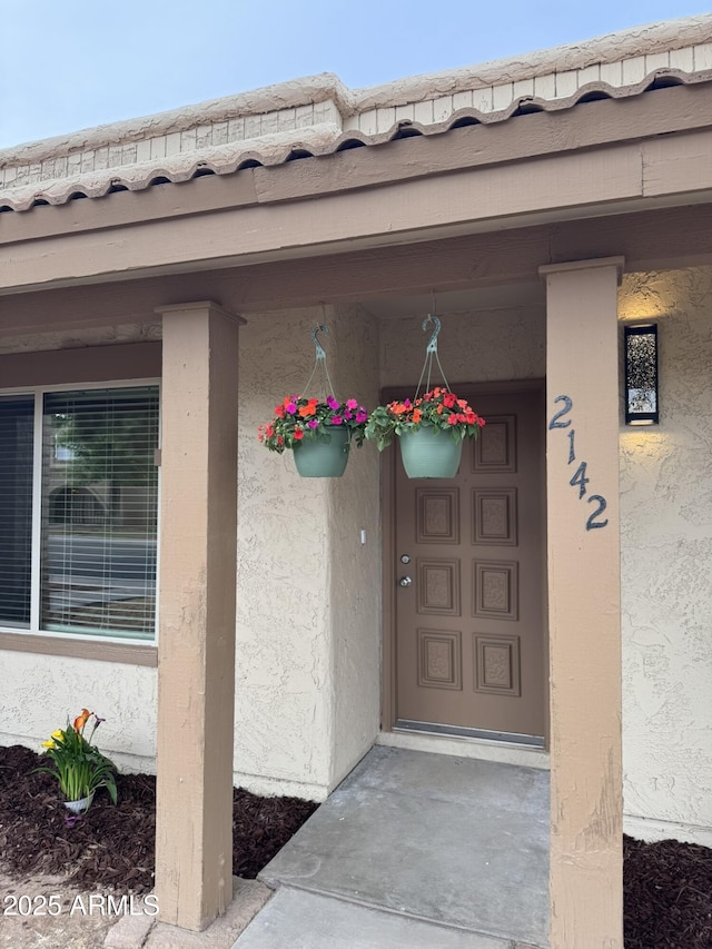 view of exterior entry with stucco siding