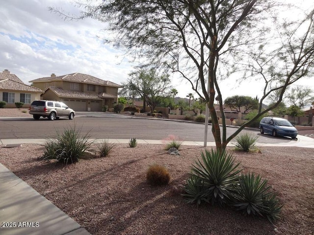 view of yard featuring an attached garage and driveway