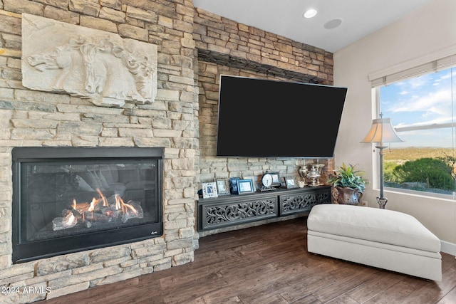 living room featuring a wealth of natural light, dark hardwood / wood-style floors, and a stone fireplace