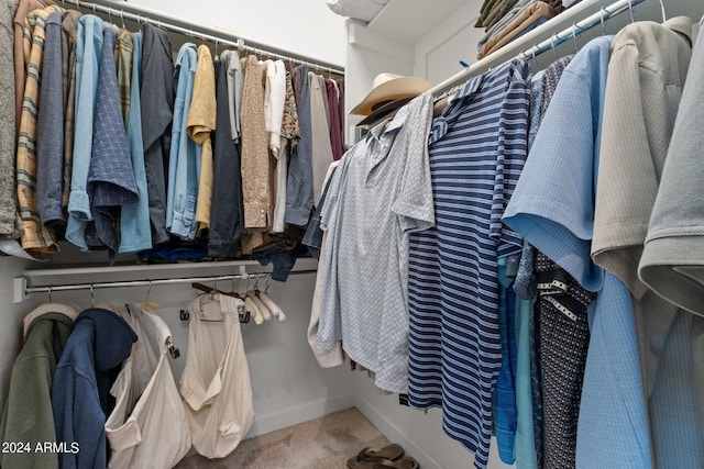 spacious closet with carpet