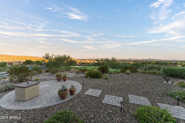 view of yard featuring a patio area