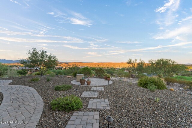 view of yard featuring a patio