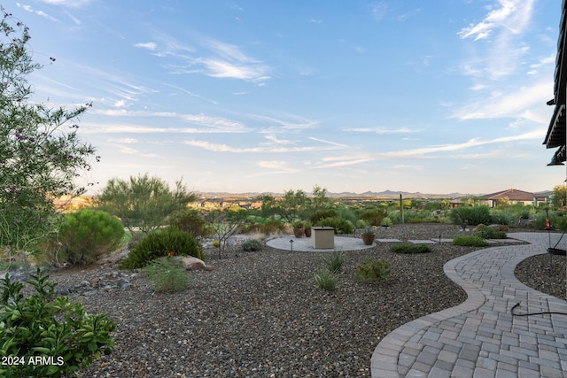 view of yard featuring a patio