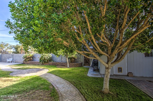 view of yard featuring a patio area