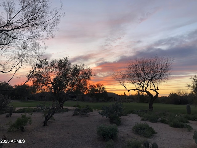 view of yard at dusk