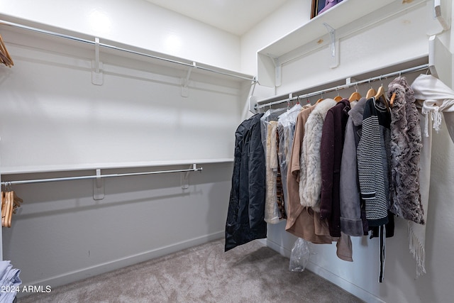 spacious closet featuring carpet