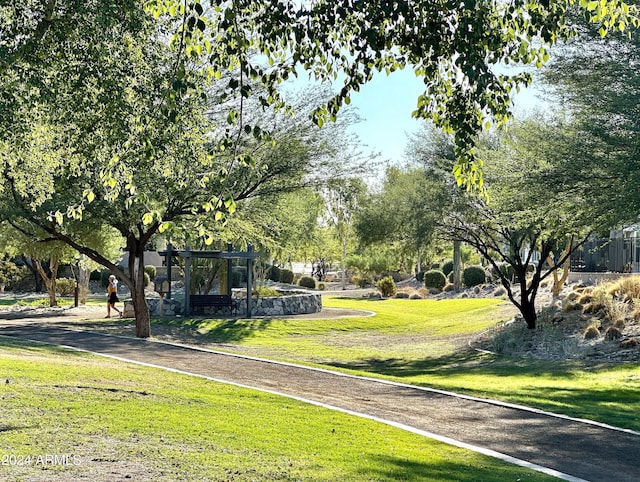 view of property's community with a yard