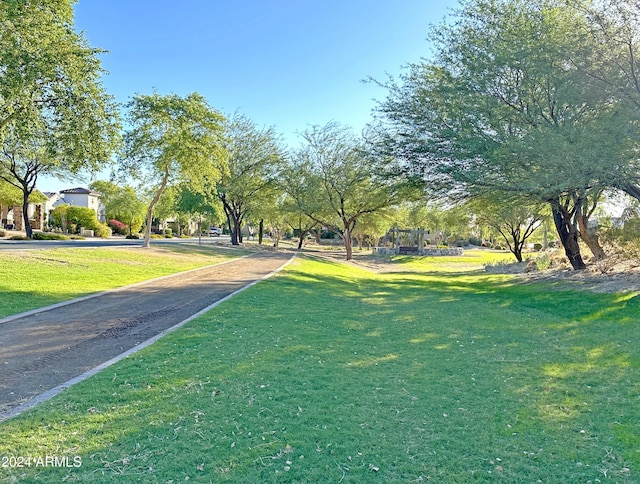 view of home's community featuring a yard