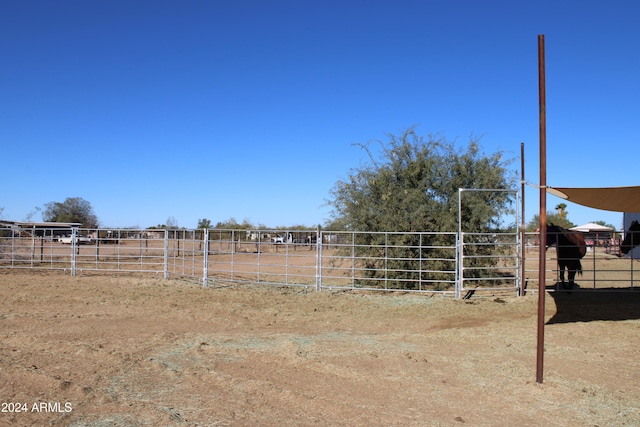 view of yard featuring a rural view