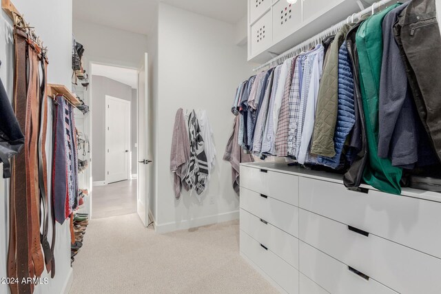 spacious closet with light carpet