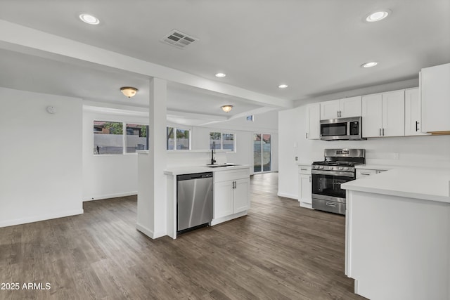 kitchen with stainless steel appliances, a wealth of natural light, a sink, and dark wood-style floors