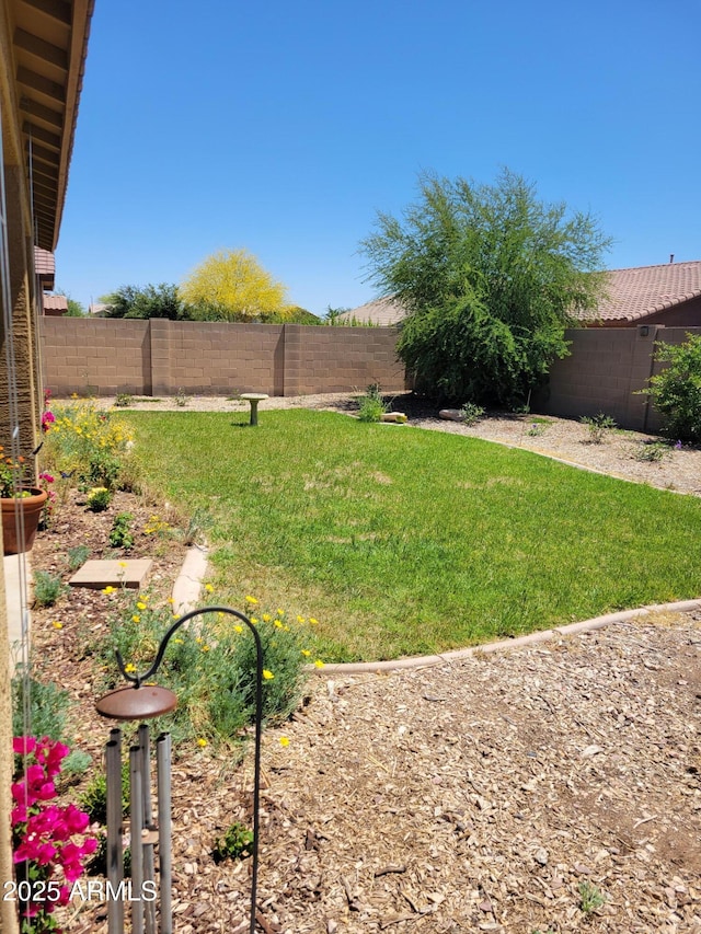 view of yard with a fenced backyard