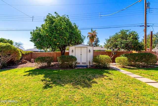 view of yard with a storage shed, an outdoor structure, and a fenced backyard