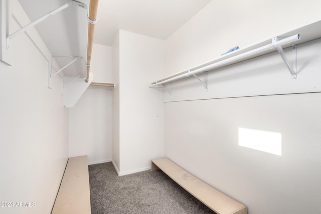 spacious closet featuring carpet flooring