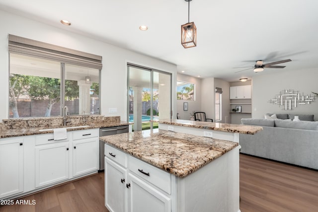 kitchen featuring a sink, dishwasher, healthy amount of natural light, wood finished floors, and recessed lighting