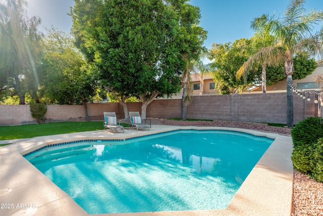 view of swimming pool featuring a patio area and a fenced backyard
