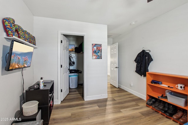 bedroom featuring wood-type flooring