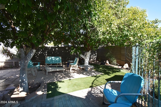 view of yard featuring a patio area and a fenced backyard