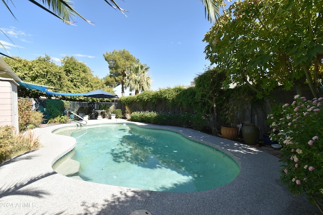 view of swimming pool featuring a fenced backyard