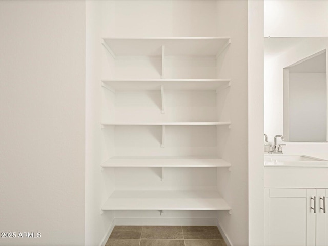 closet featuring a sink