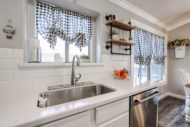 kitchen with sink, plenty of natural light, stainless steel dishwasher, and dark hardwood / wood-style floors